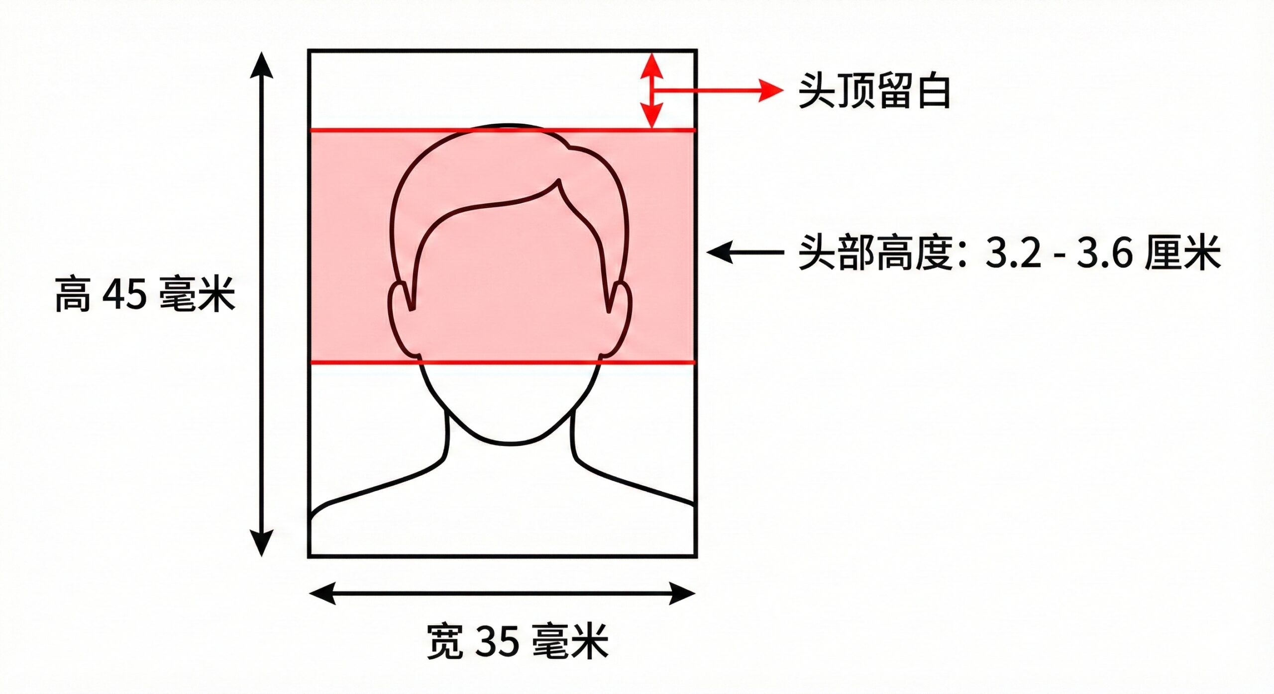 极简风格的技术规格图解。画面展示一个标准的证件照面部轮廓线条图,清晰标注出物理尺寸为宽35mm、高45mm。用醒目的颜色(如红色或深蓝色)标出头部高度必须在3.2cm至3.6cm之间的关键区域,以及头顶留白的距离。背景为纯白,线条清晰锐利,数据标注一目了然,帮助用户快速理解韩国紧急护照的硬性参数要求。