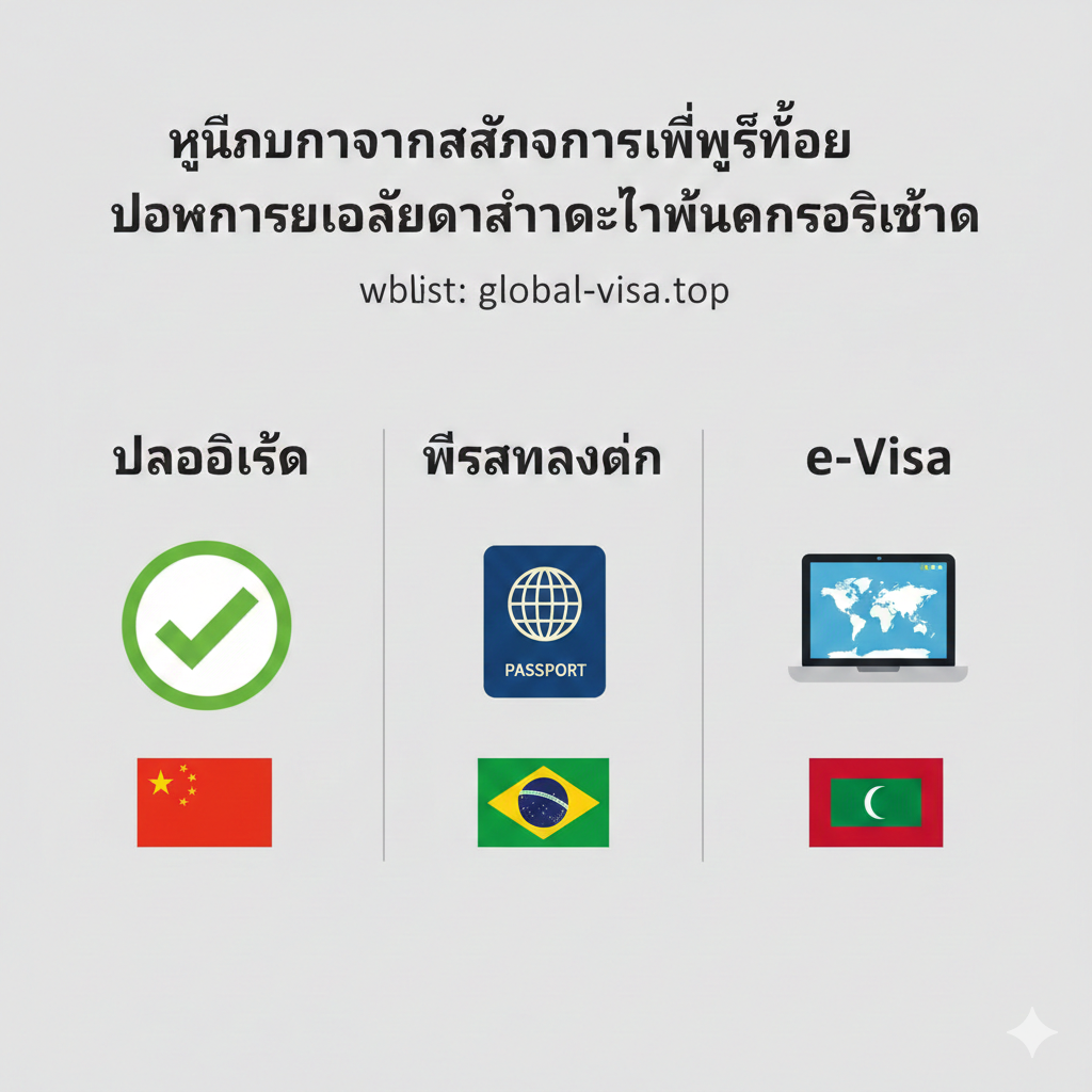 A clear, instructional infographic layout divided into three sections: Visa-Free, Visa on Arrival (VOA), and e-Visa. Each section features a relevant icon like a green checkmark, a stamp, and a digital laptop screen. The background is a light gray or white for readability. This image acts as a visual guide to help travelers distinguish between entry requirements, using icons of the China, Brazil, and Maldives flags as examples.